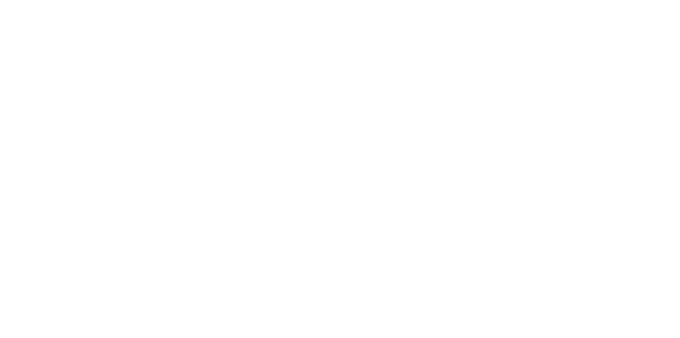 Spacetime Orchestra logo